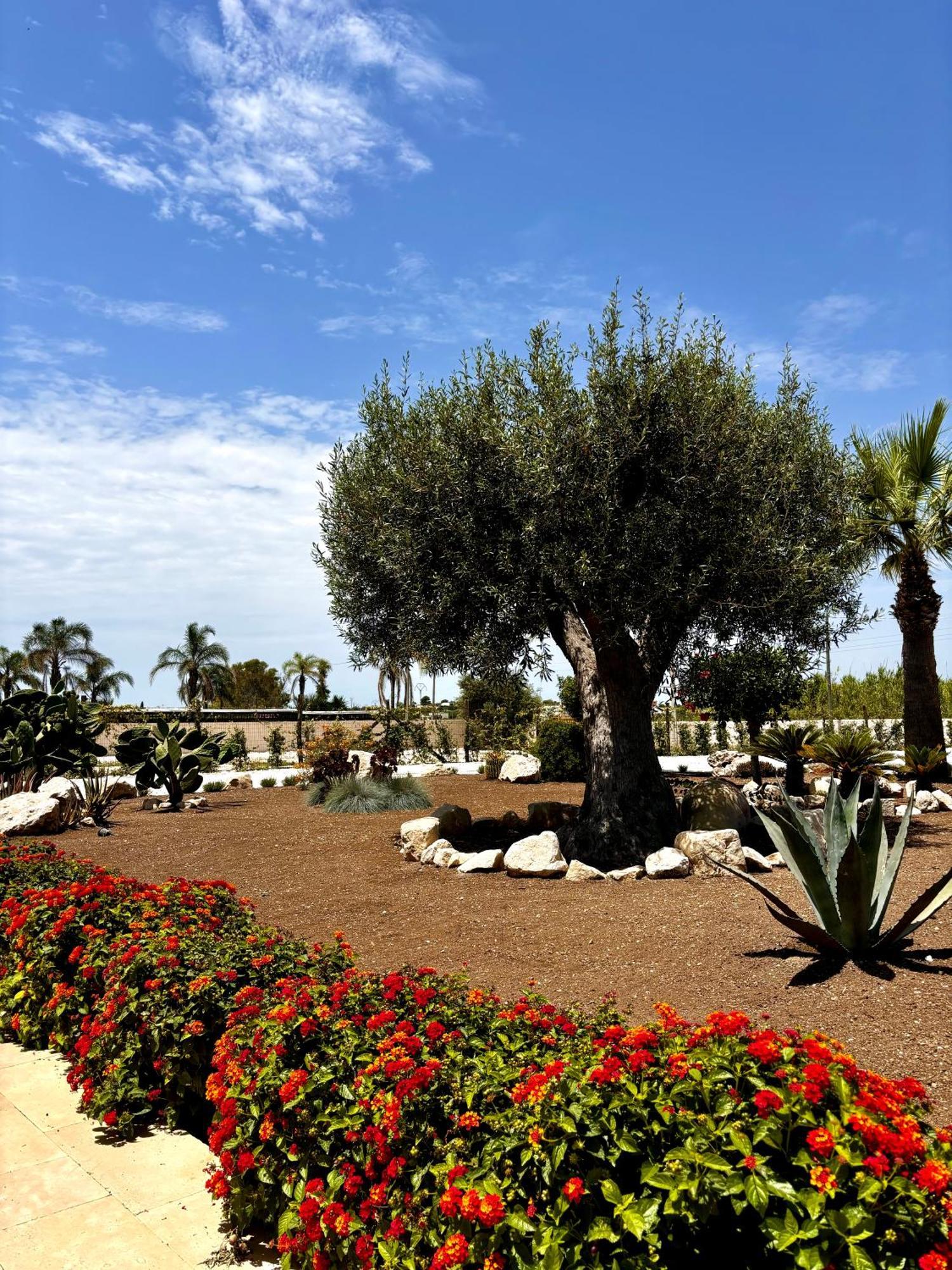 Terranura Bed & Breakfast Reitani Exterior photo